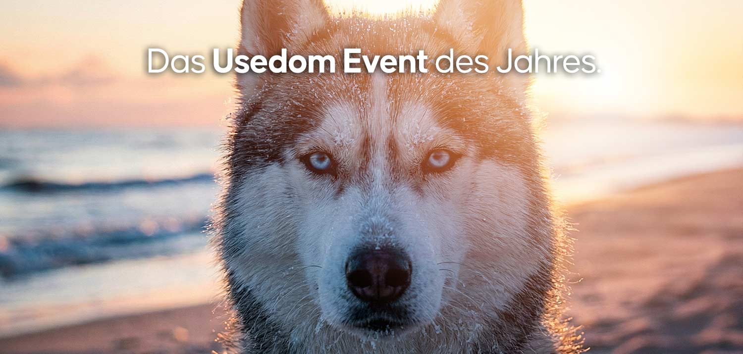 Usedom Newsletter Baltic Lights